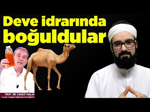 DEVE İDRARI HADİSİNE TAKILAN MEALİST VE ATEİSTLER İZLESİN - GENÇ HOCA