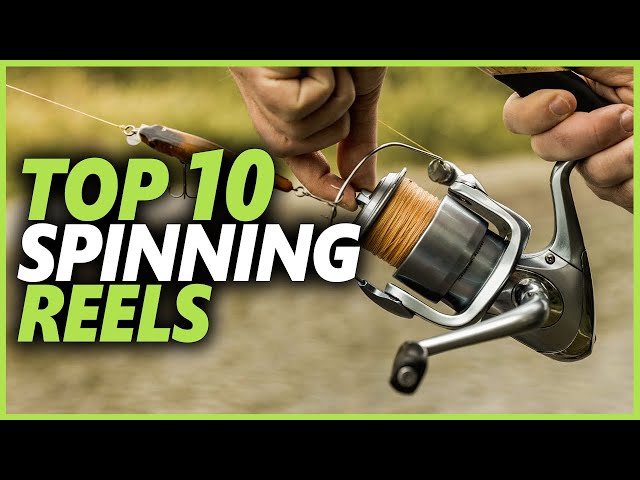 Best Spinning Reel For The Money  Top 10 Spinning Reels To Making Your  Fishing Easy 