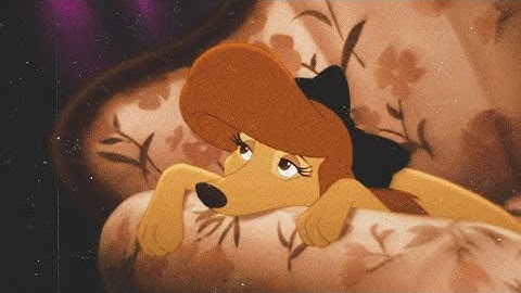 🤎Dixie x Cash🖤 // Mep part