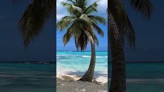 Saona Island Beach, Dominican Republic 💙 #shorts #travel #beach