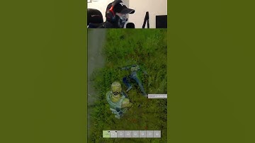 When you havent even had a chance to start the stream yet 🤯 | #candybane on #Twitch #dayz