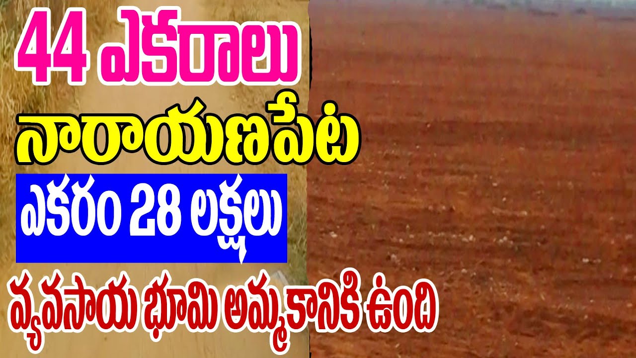44 ఎకరాలు సాగు భూమి అమ్మబడును Paddy Land Sale In Hyderabad Lowest