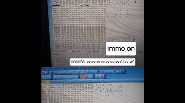 Immo  off Magneti marelli iaw4lv.xx