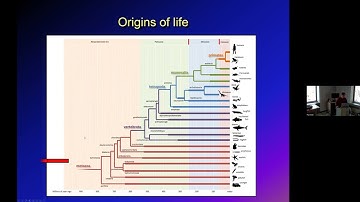 Rethinking behavior in the light of evolution - Paul Cisek (Université de Montréal)