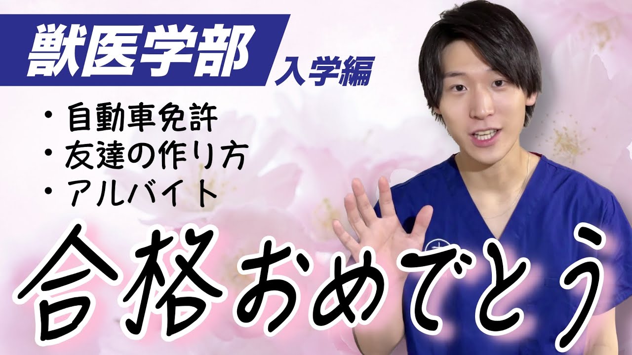 【合格した君へ】獣医学部入学前のアドバイス