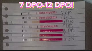 Pregnancy Test Line Progression! | Positive Pregnancy Test At 7dpo-12dpo