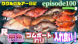 ep.100  根魚、春の入れ食いモード。落ちパク2024年3月24日 越前《ゴムボート釣り》