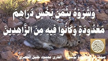 237 الصفحة   القرآن الكريم   سورة يوسف   بصوت الحصري