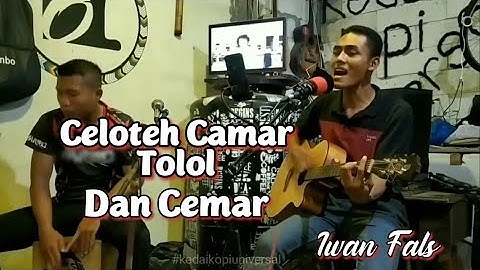 Iwan Fals - Celoteh Camar Tolol Dan Cemar | Live Cover Akustik by Miko & Ririd