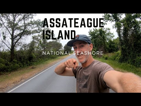 Assateague National Seashore vs State Park — Ocean City, Maryland