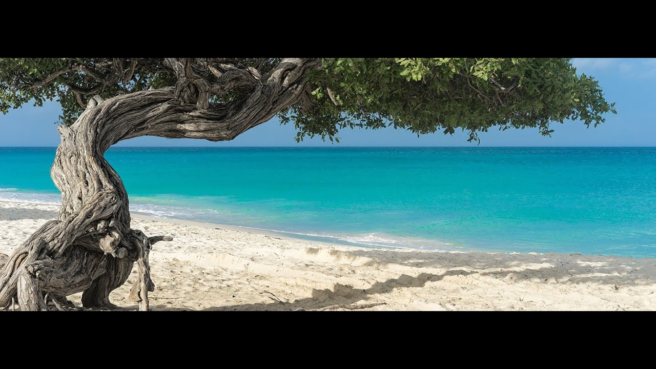 ⁣Aruba - One Happy Island HD | Аруба - Один Счастливый Остров