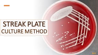 Streak plate culture method