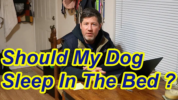 Should My Dog Sleep in My Bed