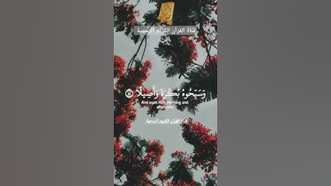 #ماتيسر_من سورة الأحزاب بصوت القارئ الشيخ ياسر الدوسري قناة القرآن الكريم الرسمية