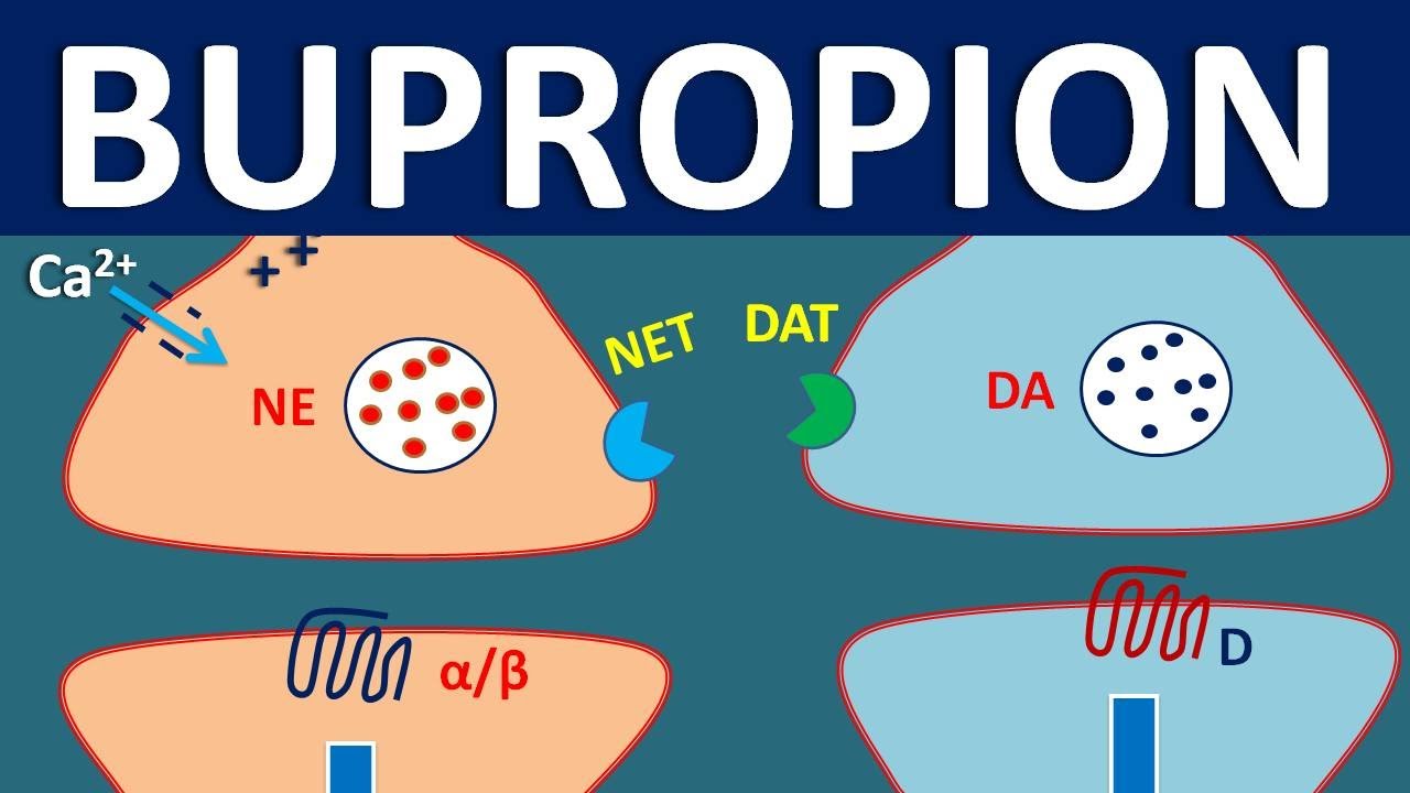 Bupropion - Mechanism, side effects, precautions and uses | Wellbutrin