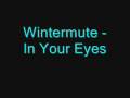 Wintermute  in your eyes