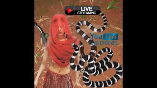 Download Lagu 🔴 Live nyai ratu weling ikut Menelusuri Bekas Jejak kawanan begal MP3 Download Lagu 🔴 Live nyai ratu weling ikut Menelusuri Bekas Jejak kawanan begal MP3