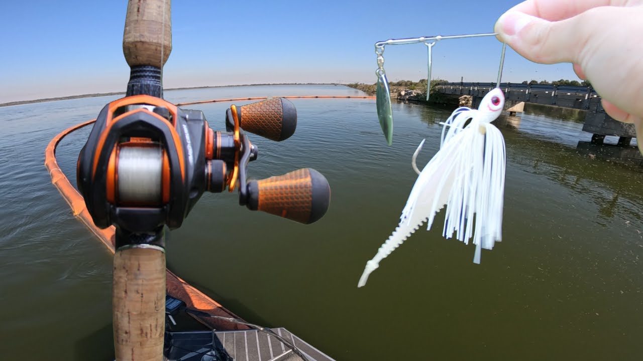 Fishing for Aggressive Fall Bass!