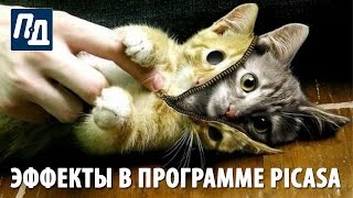 Эффекты обработки фото в программе Picasa