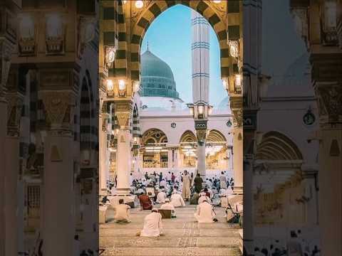 فضلا بمدح حبيب الروح ورضاه منى عيني اشتراك بالقناة