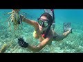 Spearfishing & lobstering in Grand Bahama!