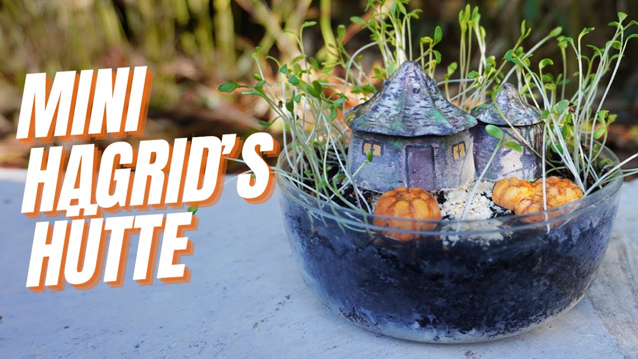 Harry Potter DIY 🌱 Hagrid's Hütte Terrarium YouTube