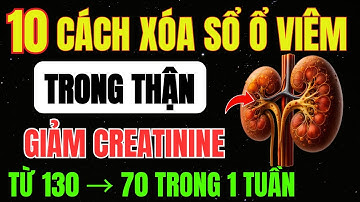 BÁC SĨ Chỉ Ra 10 CÁCH Giúp LÀM SẠCH Ổ VIÊM Trong THẬN, Hạ CREATININE Và CHẤM DỨT TIỂU ĐÊM Kéo Dài