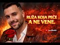 LUDAK - RUŽA KOJA PEČE A NE VENE ( Official Video 2026 )