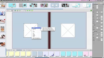 Aligning your picture boxes in your Smiley Hippo project