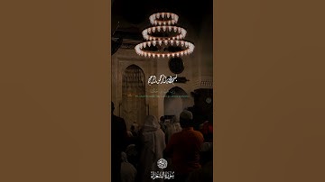 ﴿الّذي خلقني فهو يهدين ﴾🥺❤️ تلاوة خاشعة من سورة الشعراء