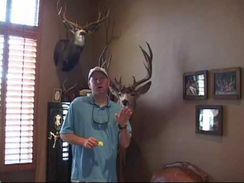 Elk Calling Tips by Jay Scott