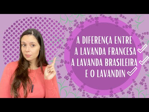 Vídeo: Informações de Lavandin - O que é Lavandin e para que é usado
