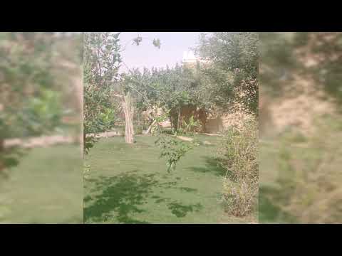 جديد ابو غلا الربعي