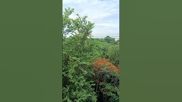 #rajalakshmiengineeringcollege rec first year #firstyear #collegelife