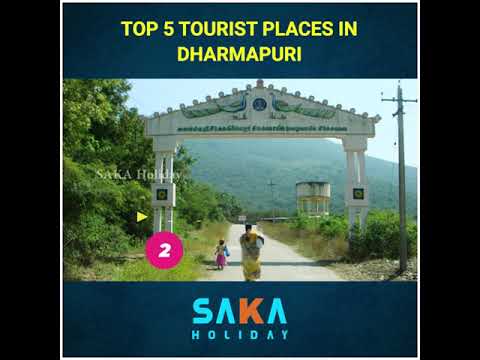 TOP 5 TOURIST