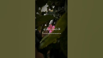 #قرآن_كريم #ياسر_الدوسري #الوطن_العربي #سورة_المائدة #quran #quran_kareem #islam #islamic