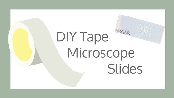 DIY Tape Microscope Slides