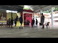 Voleyca Esmeraldas VS Voleyca Santo Domingo(3-0) Colegio Sagrado Corazón (Revancha en 3 meses)🏐🇪🇨