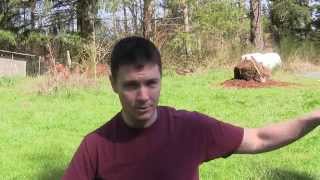 Potting up Rhododendrons at Kincaid's Nursery (Part 1) Growing Your Own Landscape Plants