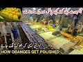 Orange processing factory pakistan se orange kin marahil se guzr kr export hota hai ir farm