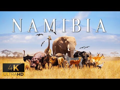 NAMIBIA Calming Music With Stunning Beautiful Natural Film For Luxury Lobbies