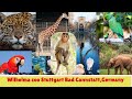 Wilhelma Zoo Stuttgart| Wilhelma #Zoo| #Stuttgart Germany| Mp3 Song