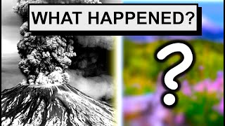 What is Mount St. Helens Like 43 Years After the Eruption?