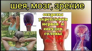 Зажатый атлантозатылочный сустав ухудшает зрение. Как освободить сосуды шеи и головы? Упражнения
