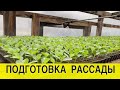 3 обработки Тилтом для получения крепкой рассады дыни.