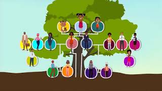 Family song | Family tree for kids | Vocabulary about family for kids | Nuclear family | Extended