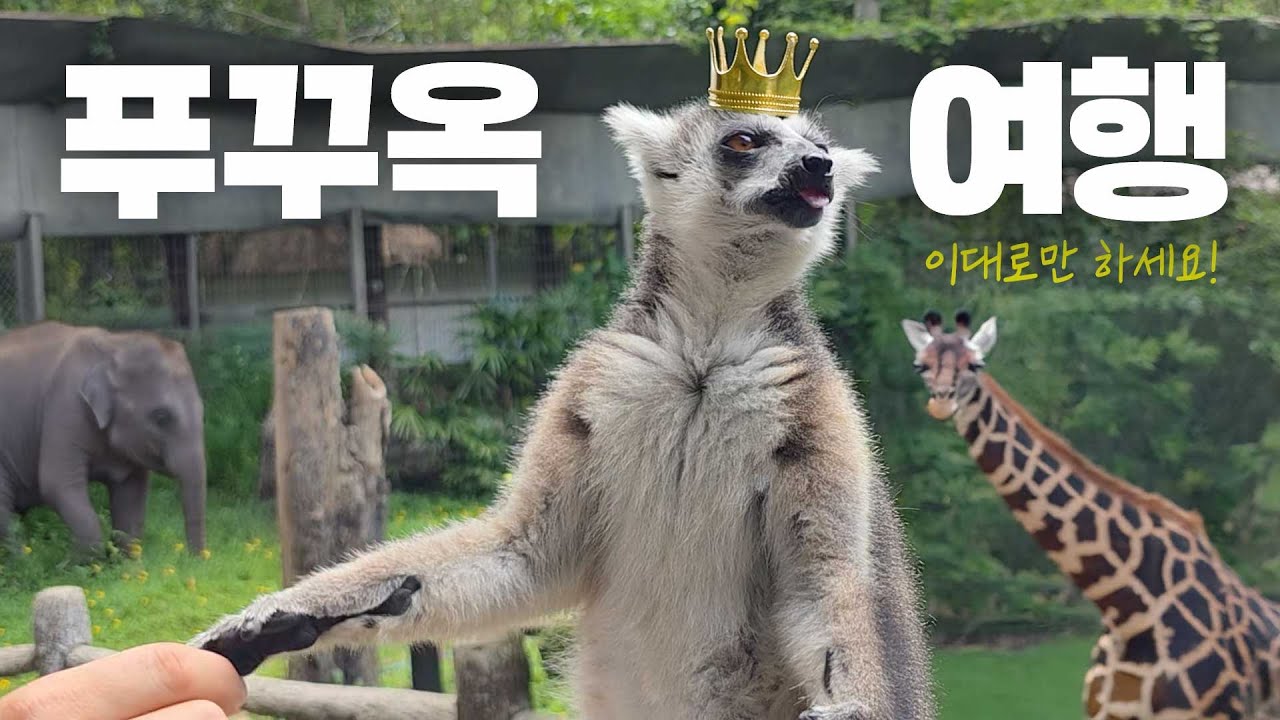 베트남 푸꾸옥 여행 가이드 🇻🇳 빈펄사파리, 빈원더스, 썬월드, 선셋타운, 세일링클럽, 블랙스파