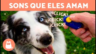 SONS que os CÃES ADORAM 🐶🔊 Como seu CÃO reage a esses SONS?