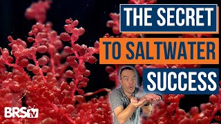 Why Water Changes  Matter Most for Your Saltwater Aquarium! - Ep: 25 screenshot 5