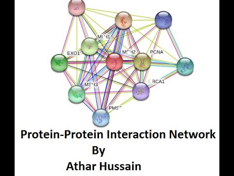 Videó: A Protein-protein Interakciós Hálózatok Központi Elemzésének Szisztematikus Felmérése